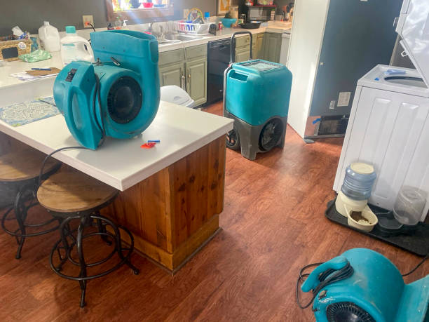 Best Local water damage restoration  in San Ramon, CA