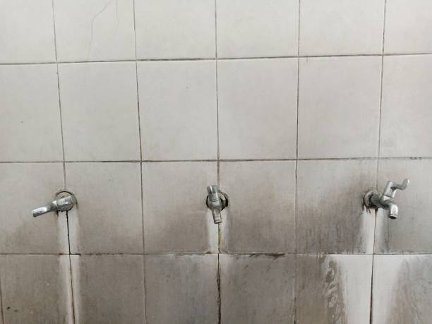 Best 24/7 water damage repair  in San Ramon, CA