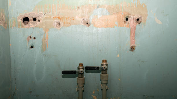 Best 24-hour water damage restoration  in San Ramon, CA