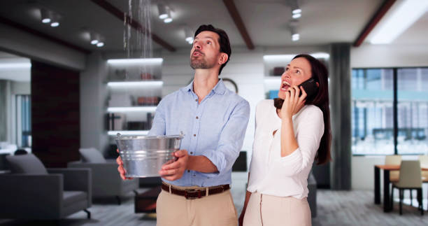 Best Water damage contractors near me  in San Ramon, CA