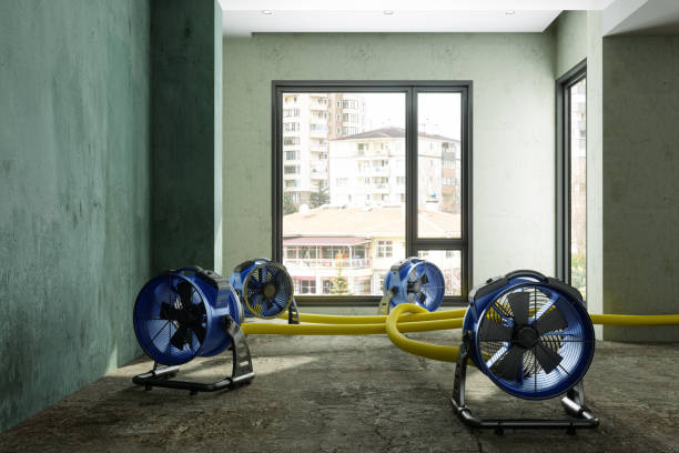 Best Fire Damage Restoration  in San Ramon, CA